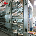 poultry equipment suppliers in south africa